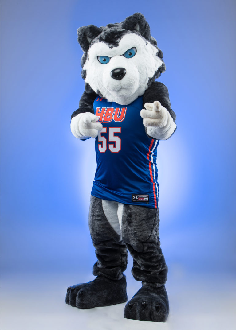 HBU Introduces New Mascot Suit | Houston Baptist University