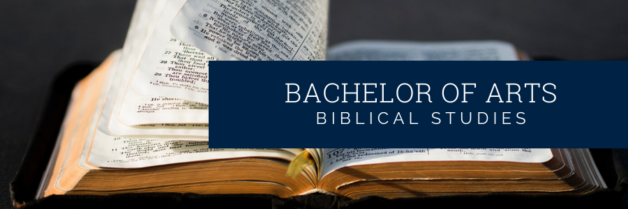 free phd in biblical studies